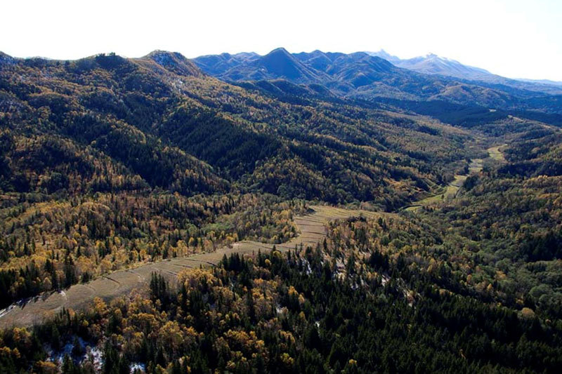 ФАС приостановила производство по делу о доступе «Роснефти» к газотранспортной системе Sakhalin Energy до разрешения дела в арбитражном суде