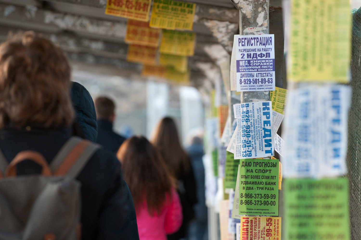 Микрофинансовая организация «Народная казна» перестала платить инвесторам