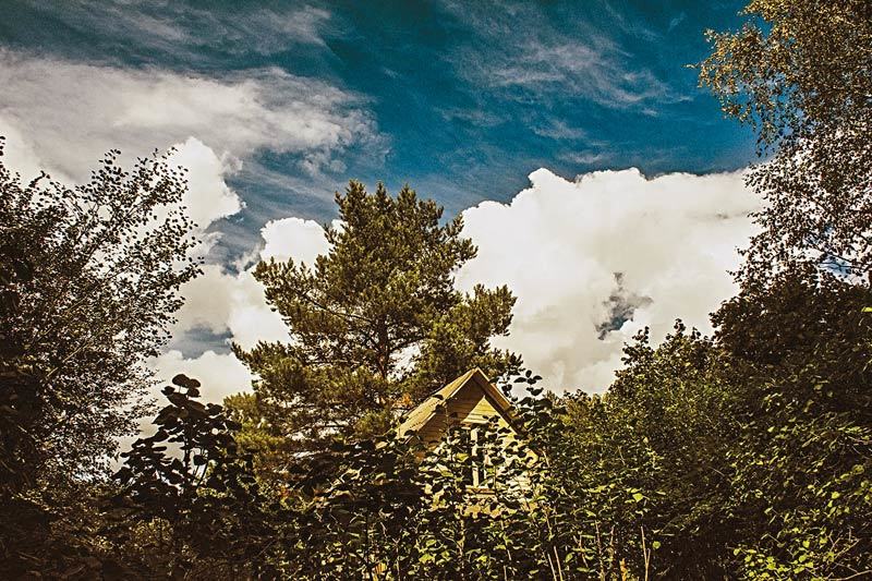 Более 50% россиян предпочитают провести лето-2015 на даче, по данным опроса на сайте «Из рук в руки»