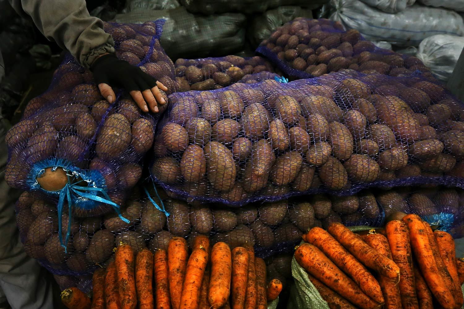 ВТБ создаст самую большую площадку для хранения и переработки сельскохозяйственной продукции