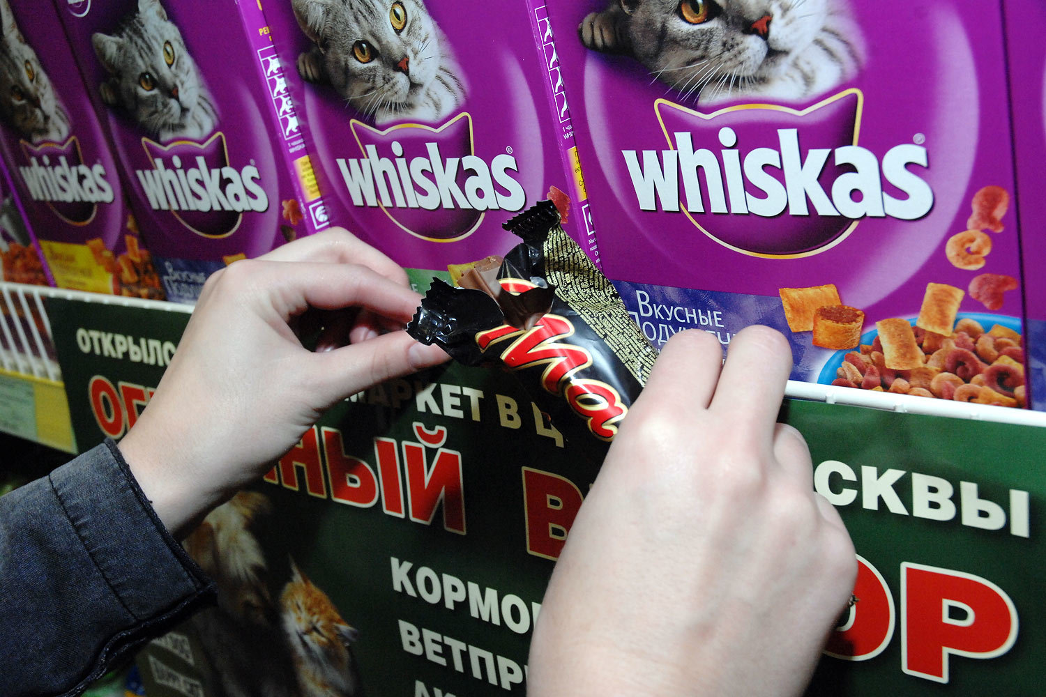 Mars высадится  в Ростовской области