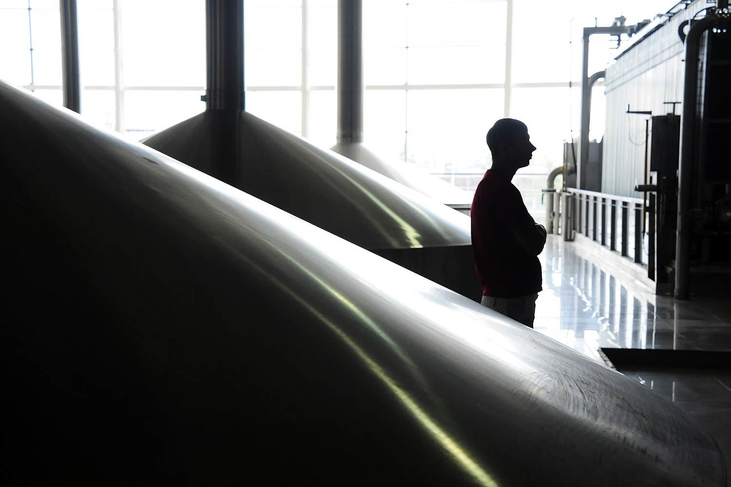 Пиво поставят  на учет через год