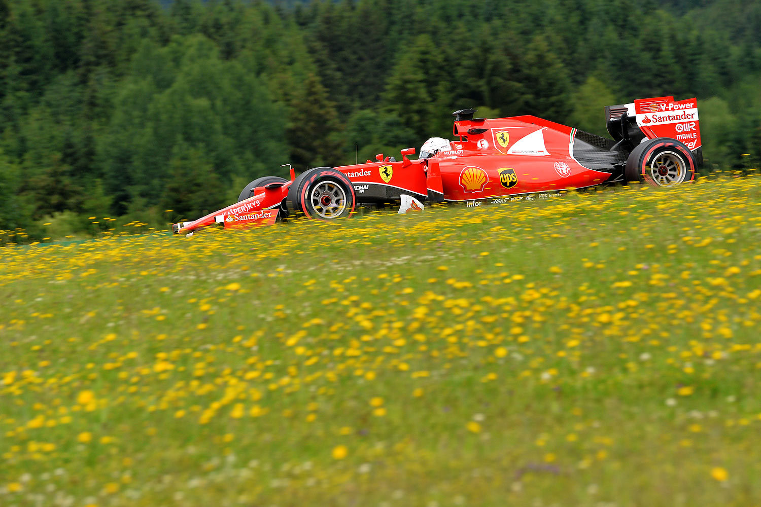 Американская компания RSE Ventures вместе с катарским инвестфондом Qatar Sports Investments планируют приобрести 35,5% акций Formula One Group