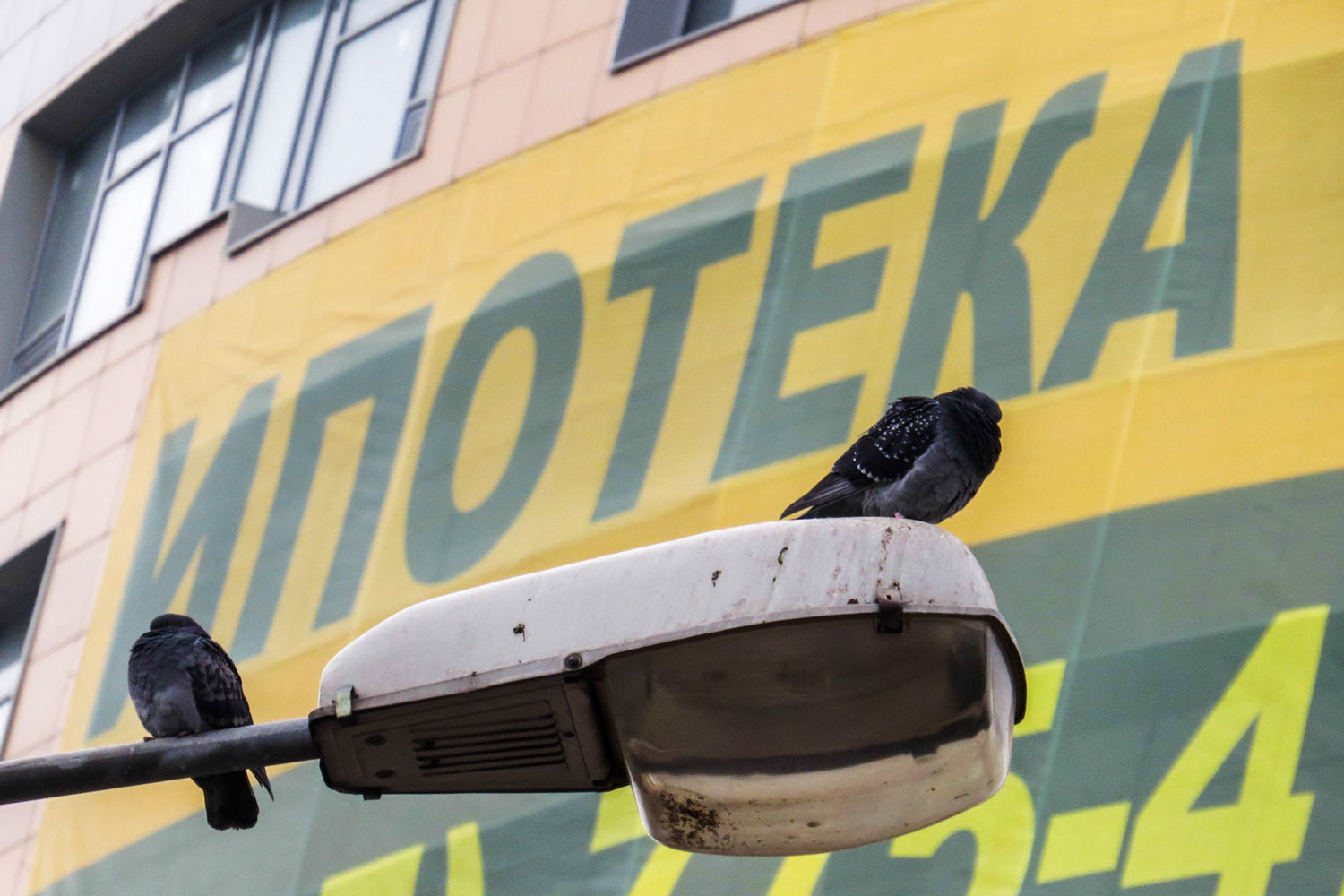 Банки не спешат удовлетворять заявки на льготные жилищные кредиты