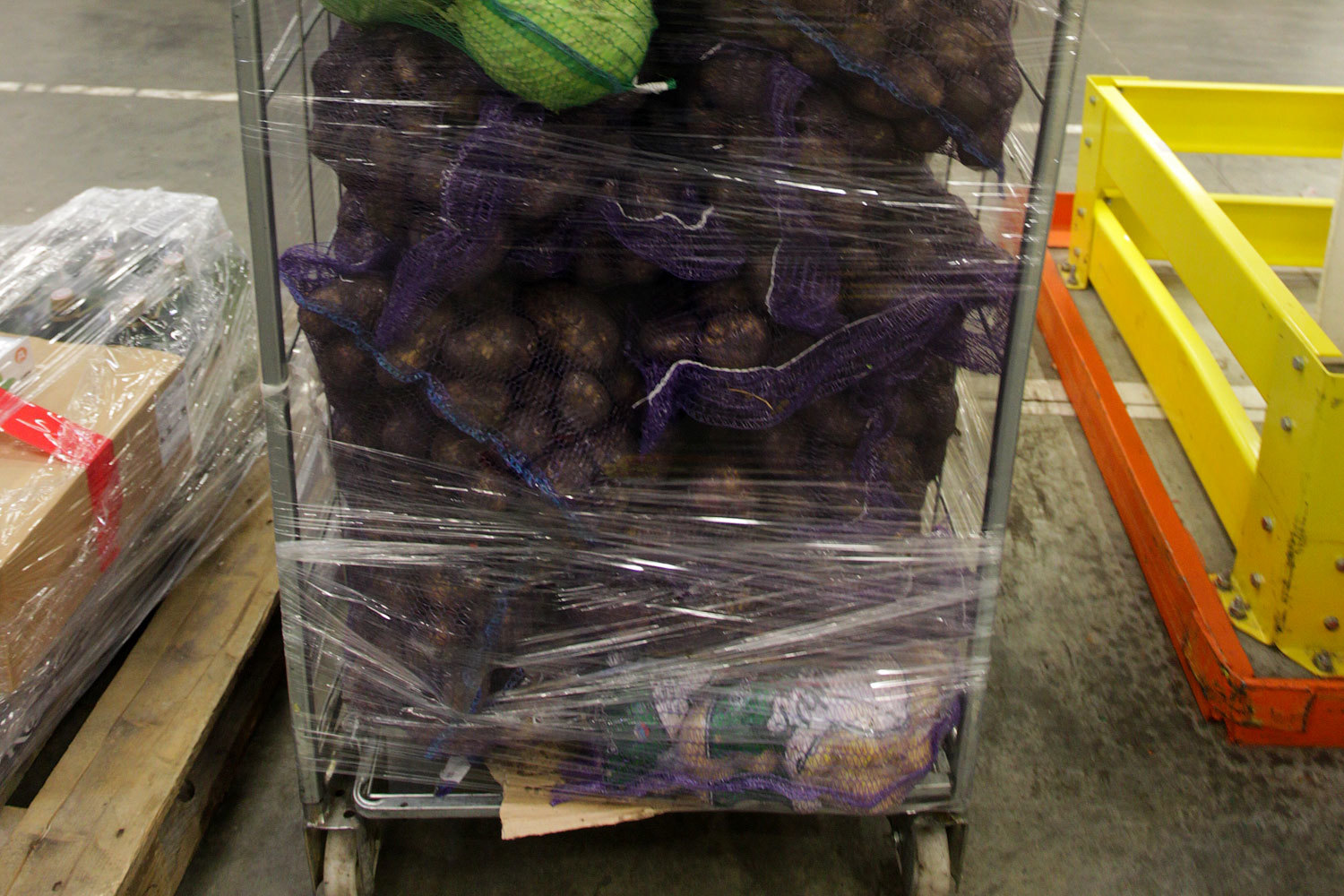 Проект предполагает строительство на 100 га павильонов для оптовой торговли овощами, фруктами, мясом, рыбой и другими свежими продуктами, логистических объектов, зоны санитарного и ветеринарного контроля