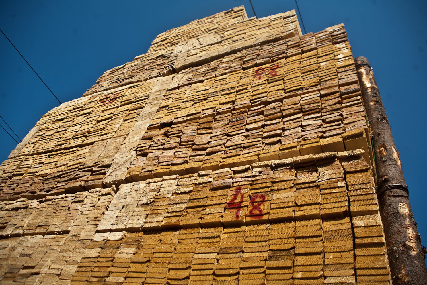 При этом субсидии теперь не распространяются на оплату услуг по доставке древесины и готовой продукции водным транспортом, а также на заработную плату работников