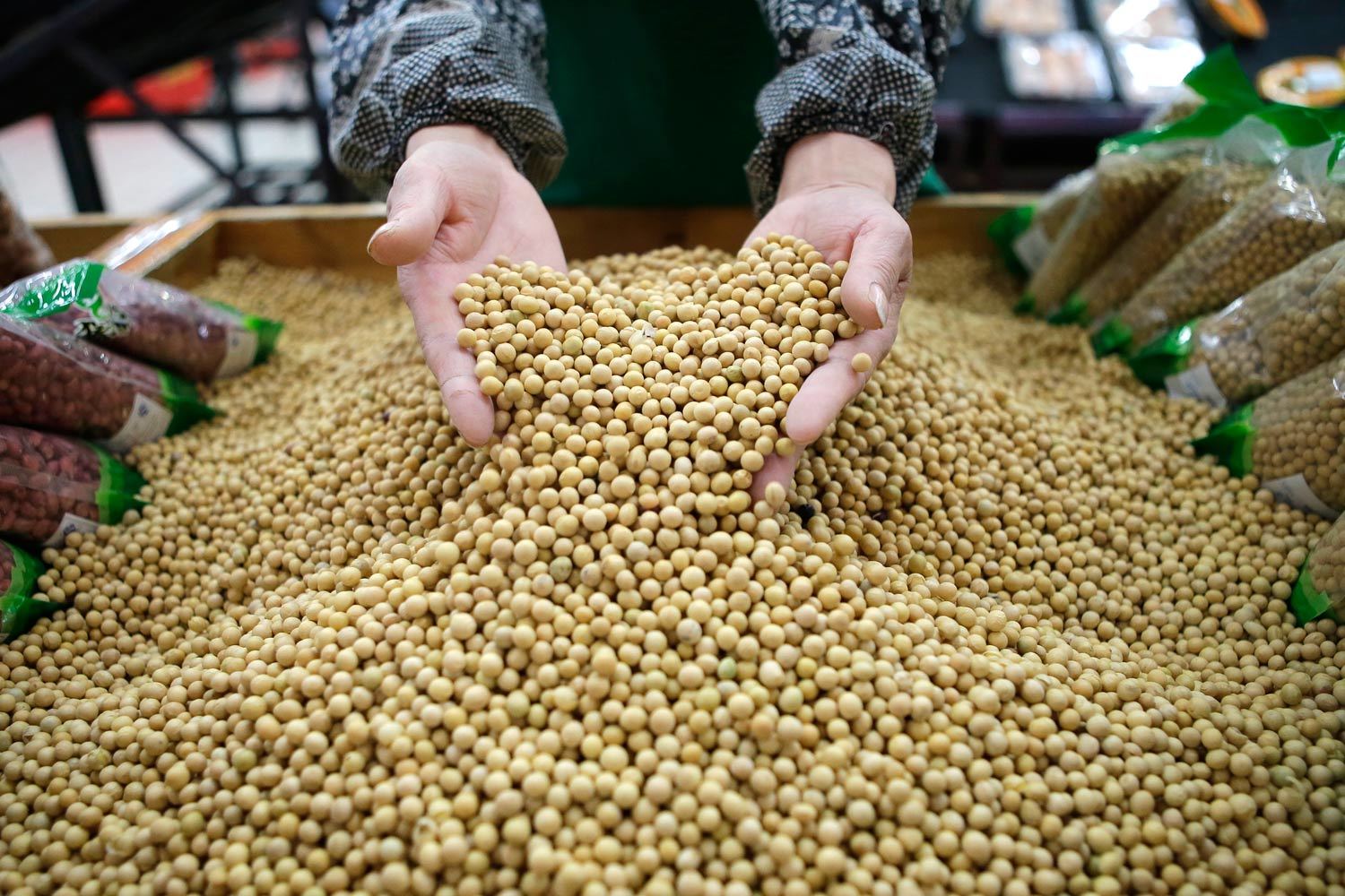 Группа «Русагро» уже выращивает сою в Приморском крае
