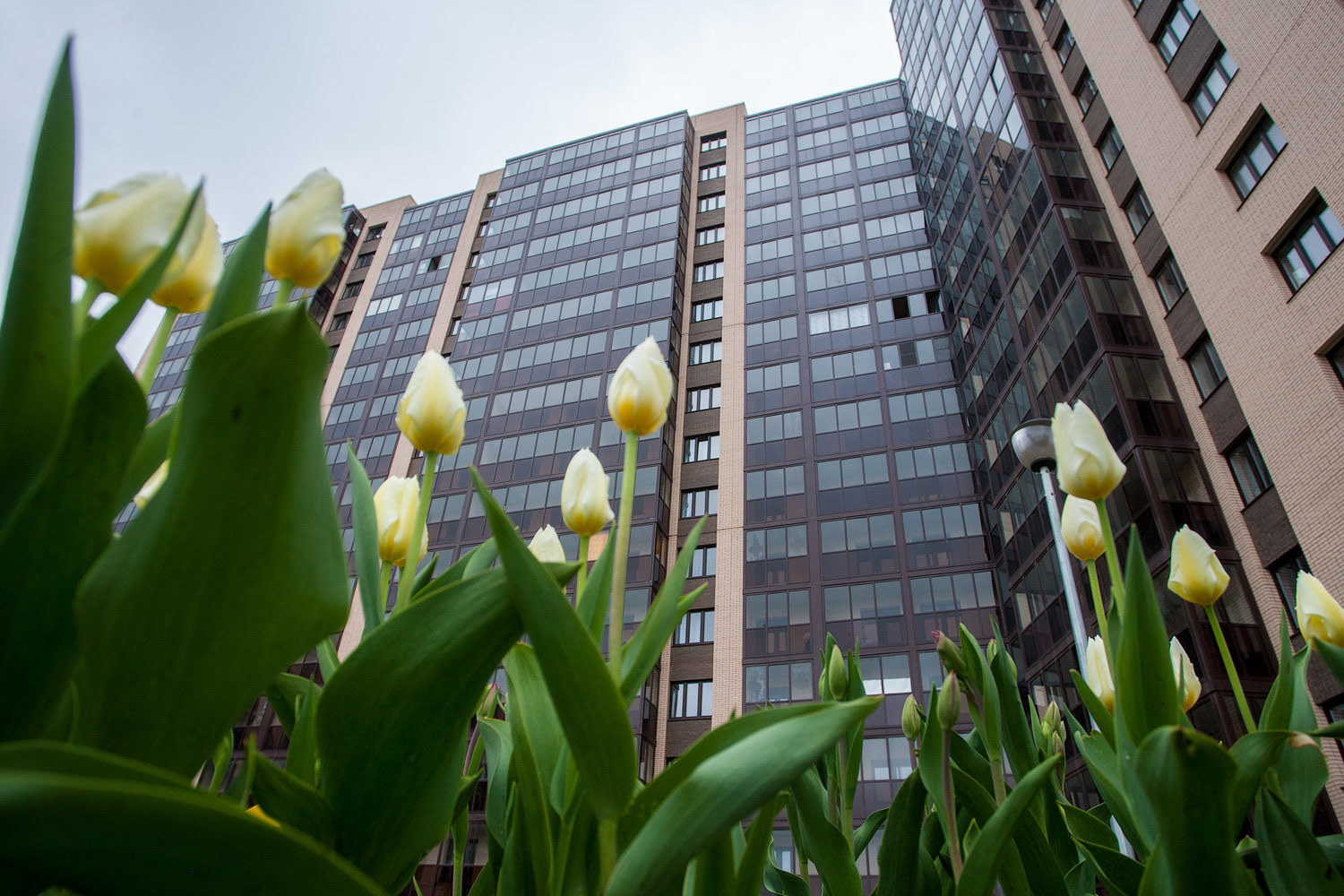 Застройщики надеются на возвращение продаж к уровню 2013 г.