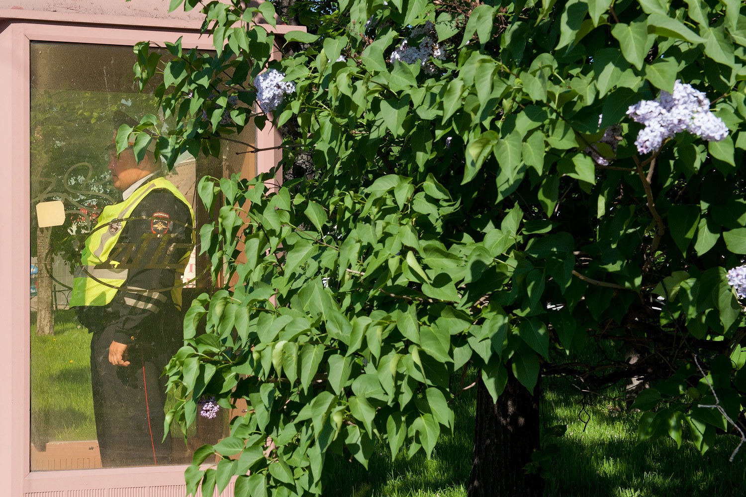 Правительство хочет сократить перечень видов неуплат, влекущих лишение прав, и оставить только социально значимые