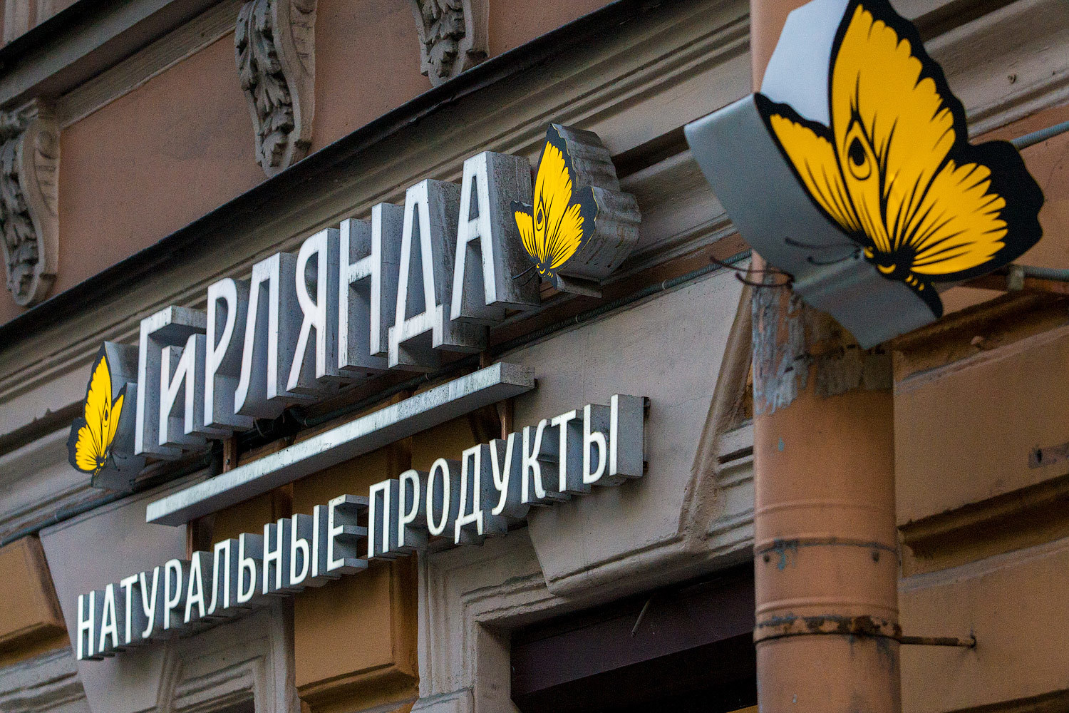 Сейчас в сети «Гирлянда» пять магазинов, сказано на ее сайте