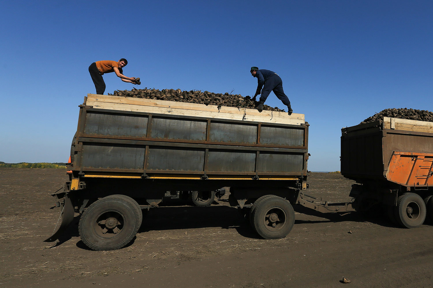 В общей сложности на сельское хозяйство будет выделено примерно 237 млрд руб. – столько же, сколько в 2015 г., сказал Силуанов