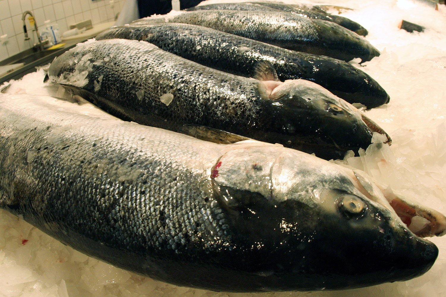 Несколько лет назад более половины всей рыбы, продававшейся в России, импортировалось