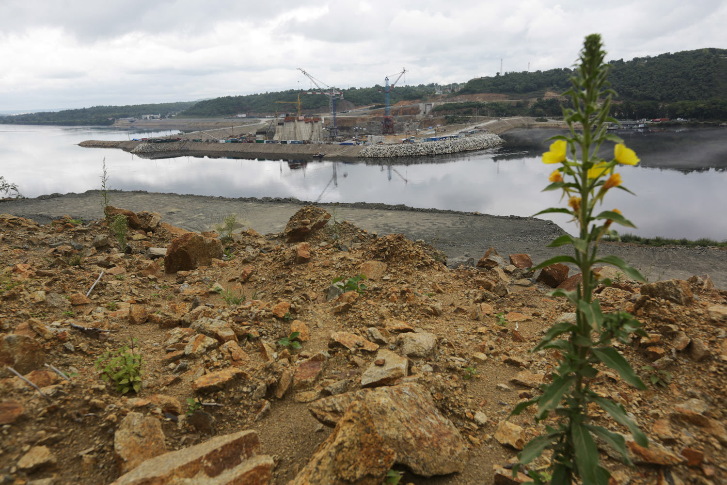 Росрыболовство хочет получить доступ к деньгам компаний