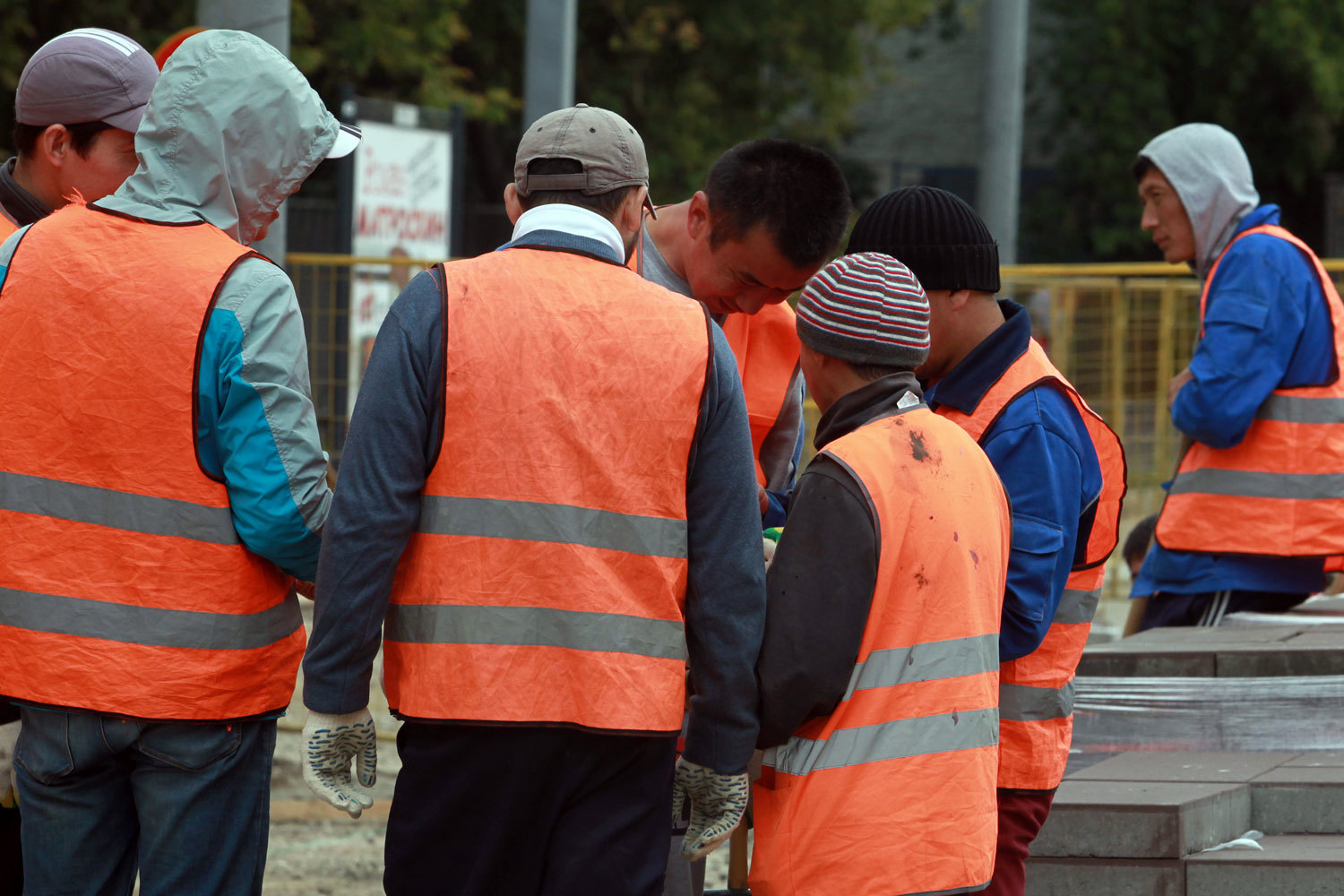 Две российские и одна зарубежная строительные компании, опрошенные «Ведомостями», заявили, что сейчас в среднем на российском рынке доля сотрудников-иностранцев составляет около 50%