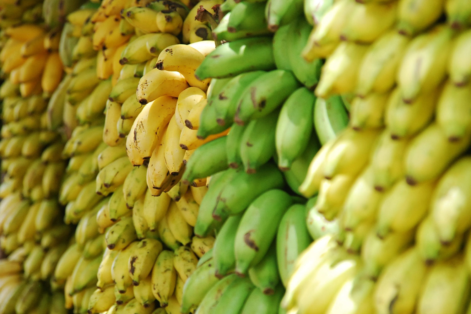 Сейчас общий долг ЗАО "Группа джей эф си", согласно реестру кредиторов, составляет более 18 млрд руб.