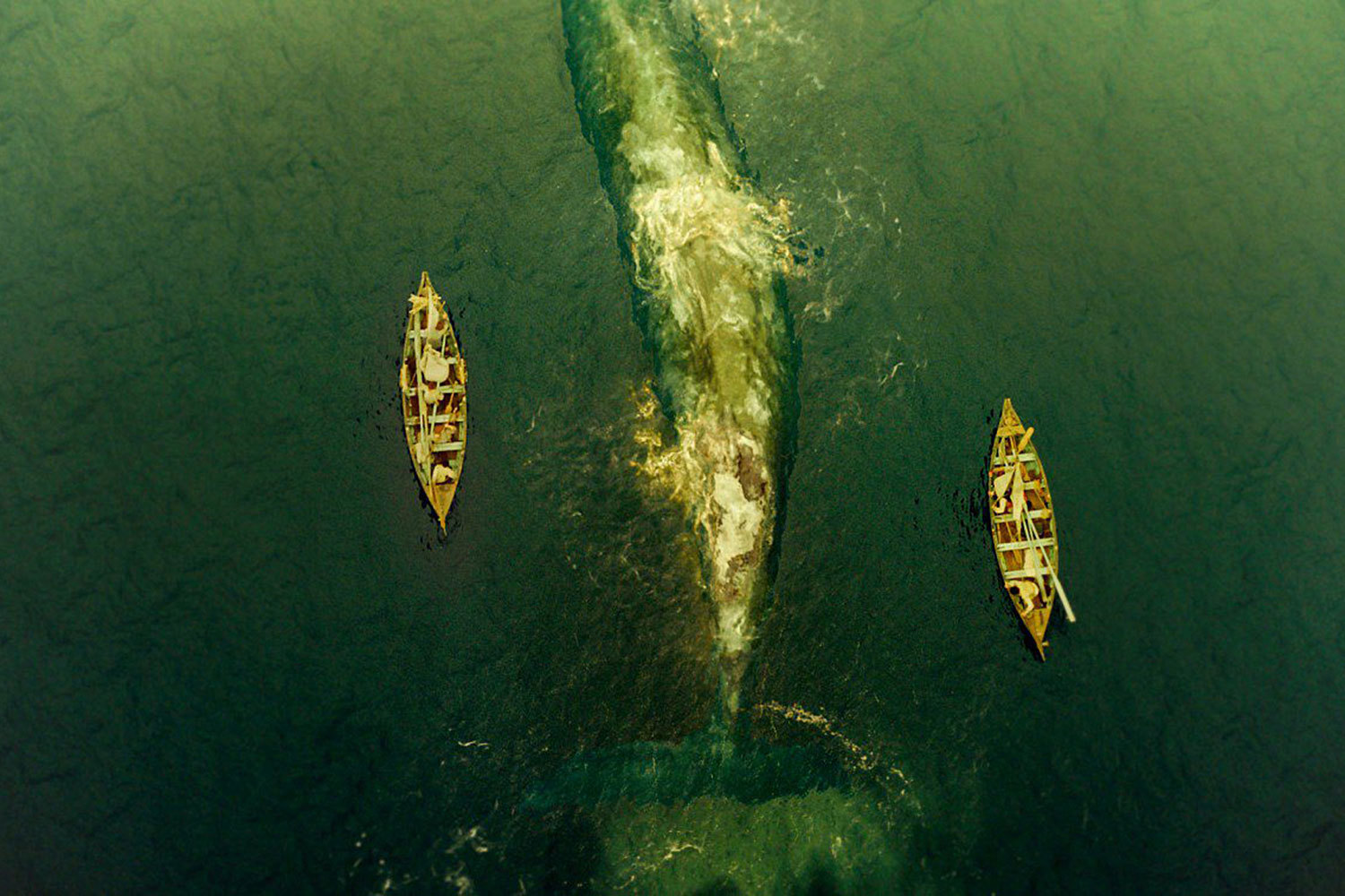 При таком старте «В сердце моря» придет к финишу национального проката в лучшем случае с $30 млн.