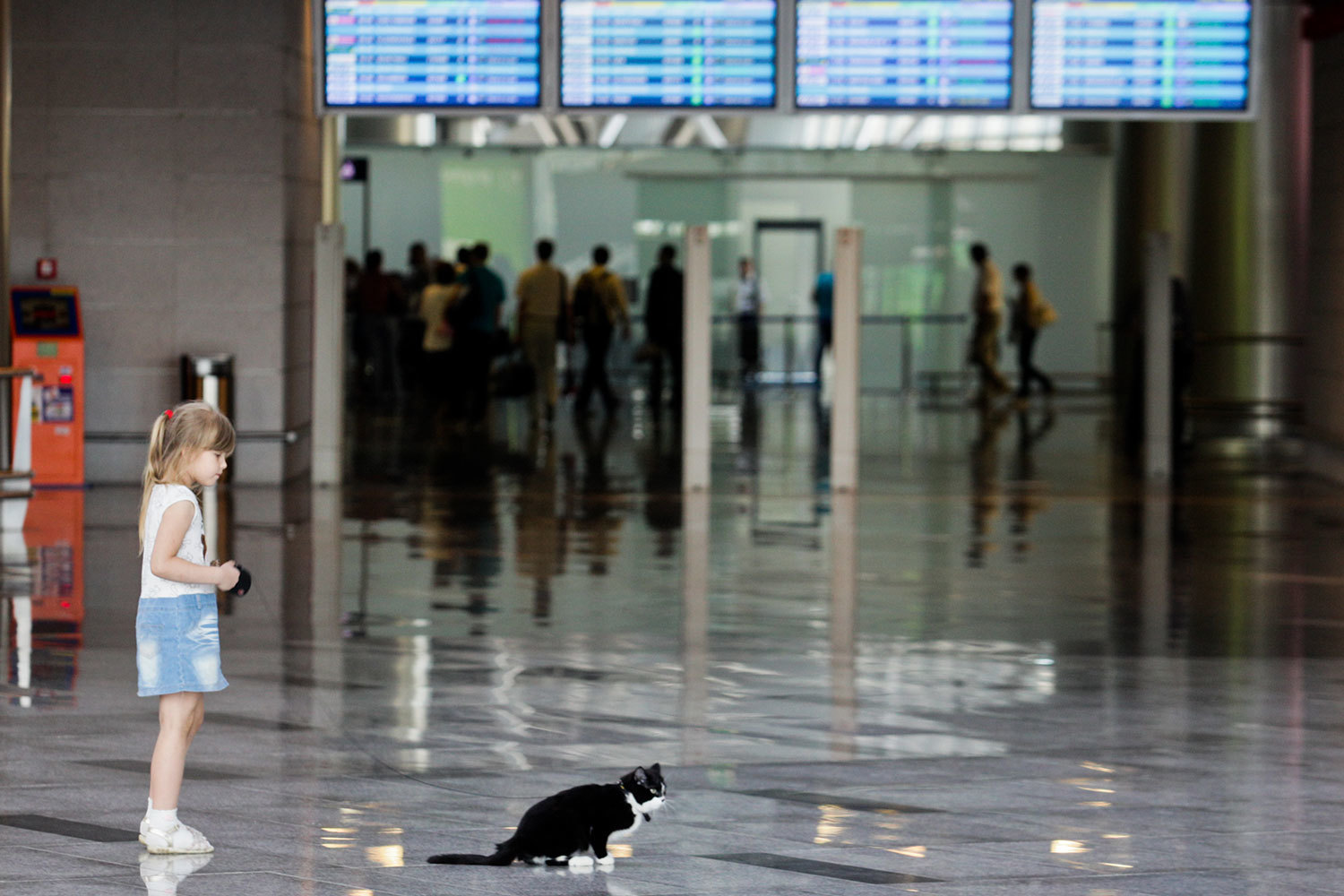 Государство будет опекать аэропорты в течение пяти лет после консолидации