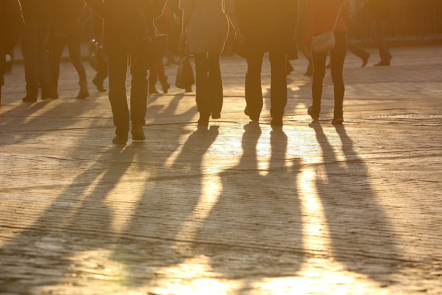 ПФР забраковал почти 50% заявлений граждан о переводе накоплений в частный фонд