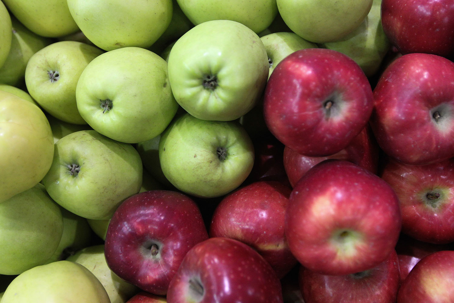 Даже несмотря на проект Кациева, Россия не сможет обеспечить себя собственными яблоками