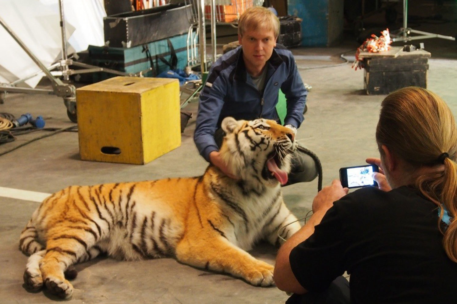 Спор между компаниями «Наше кино» и «Бульдозер фильмс продакшн» начался после выхода на экраны российских кинотеатров фильма «Скорый «Москва – Россия»