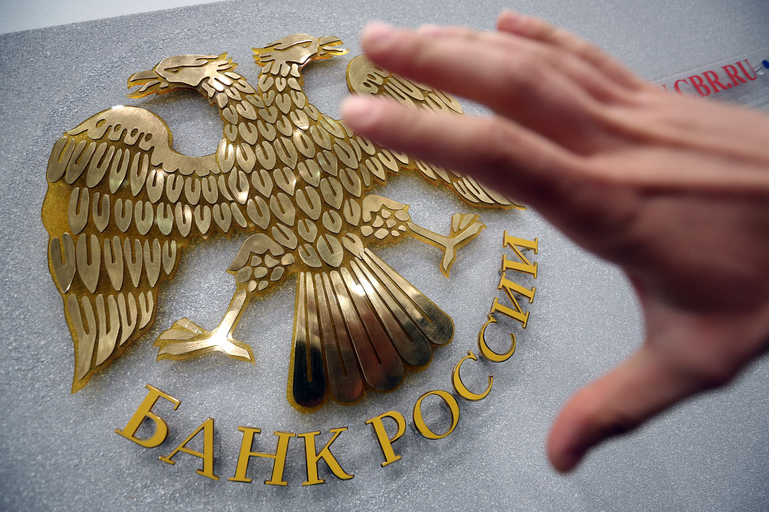 ЦБ предлагает ввести на финансовом рынке новую категорию инвесторов – профессиональных