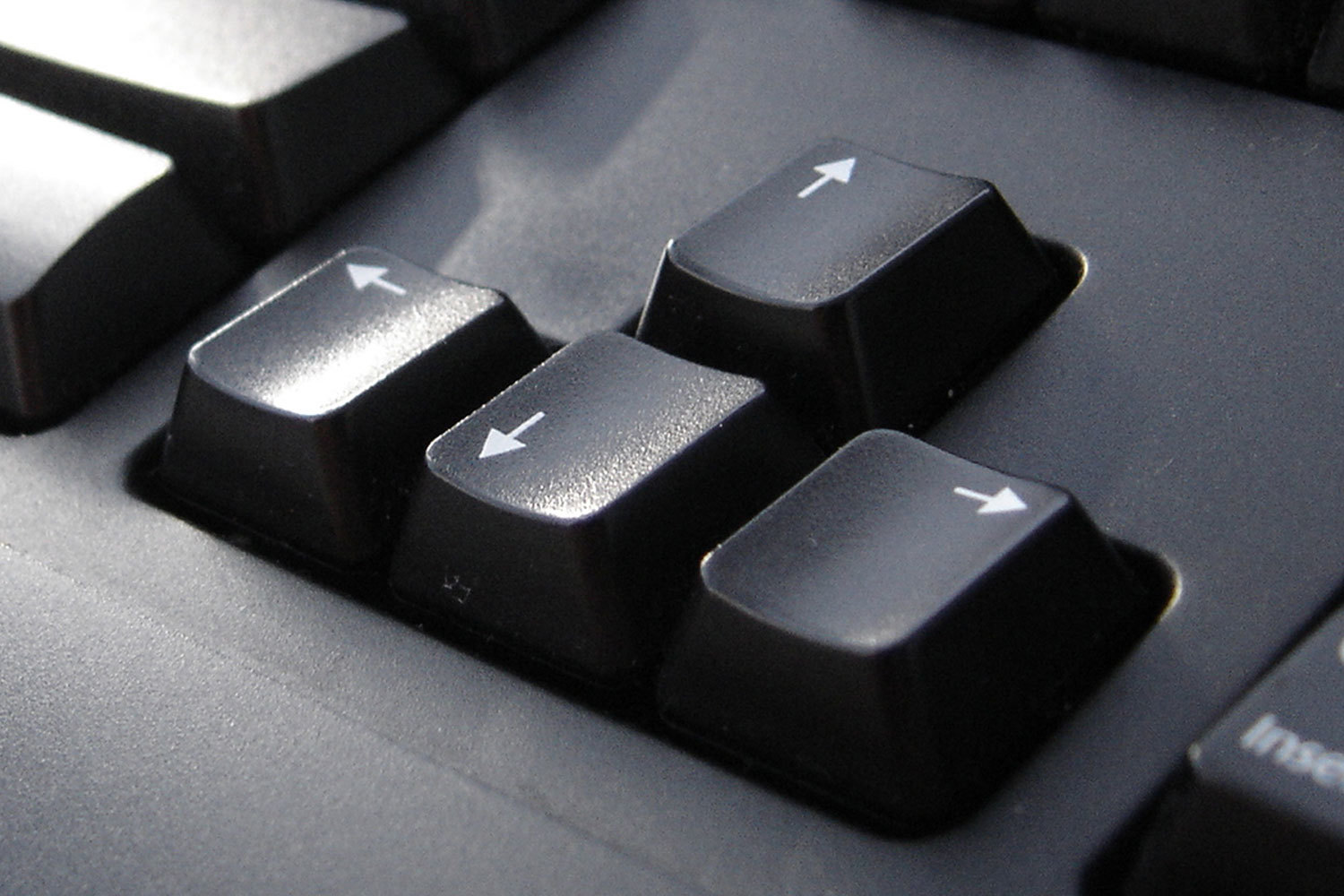 Quantopian позволит черпать новые идеи «со всех четырех сторон света»