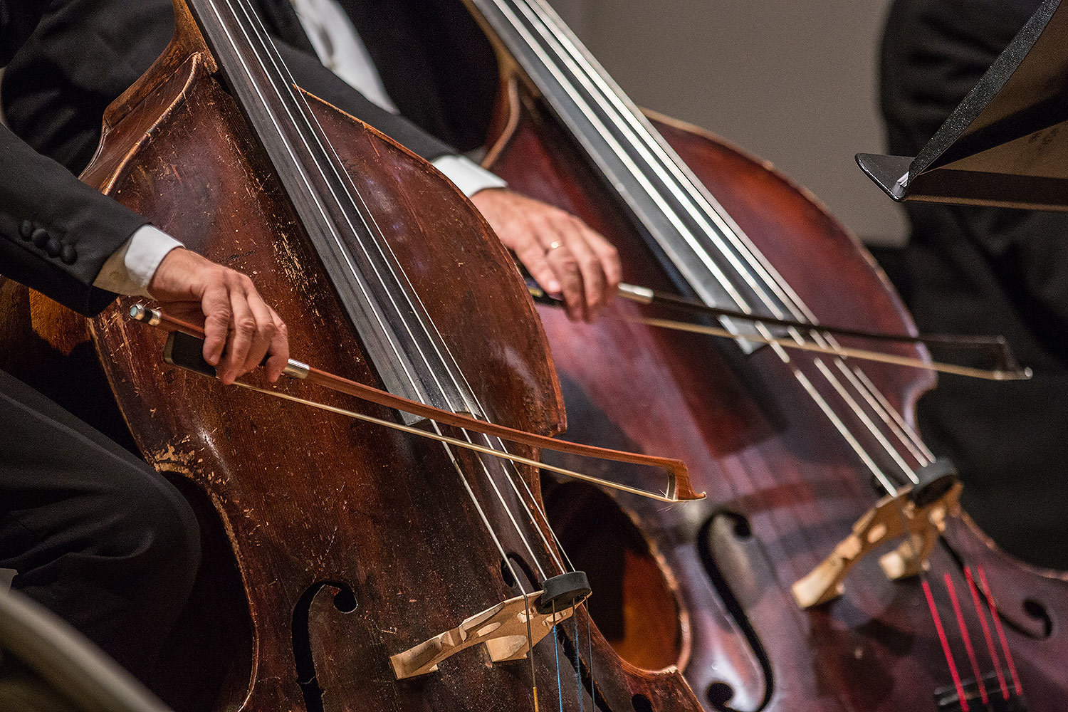 Минэкономразвития не настаивает на огосударствлении коллективного управления правами