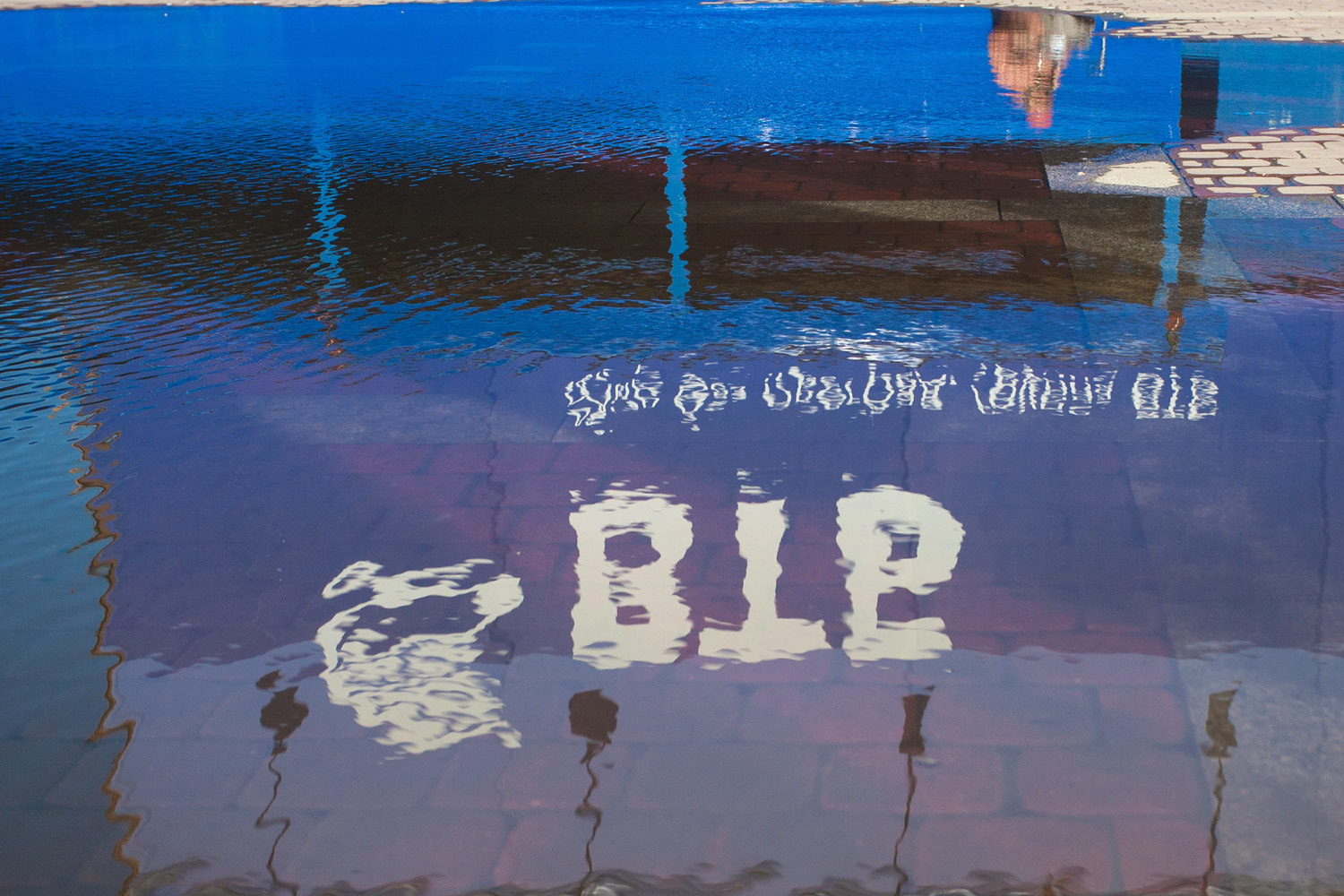 На следующем заседании суда правительство Ленобласти должно предоставить доказательства оплаты долга «Усть-Луги» банку ВТБ