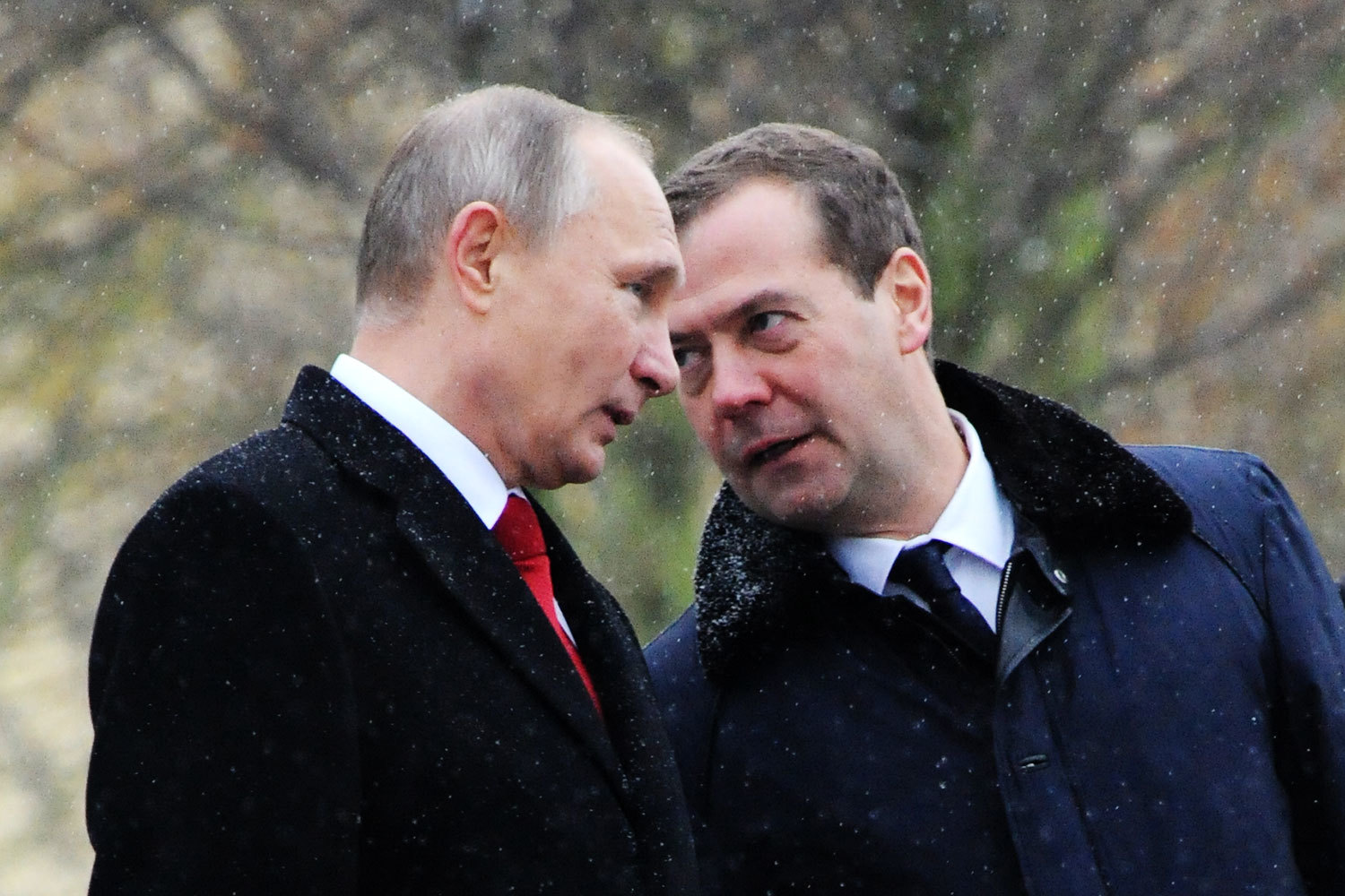 Владимир Путин и Дмитрий Медведев