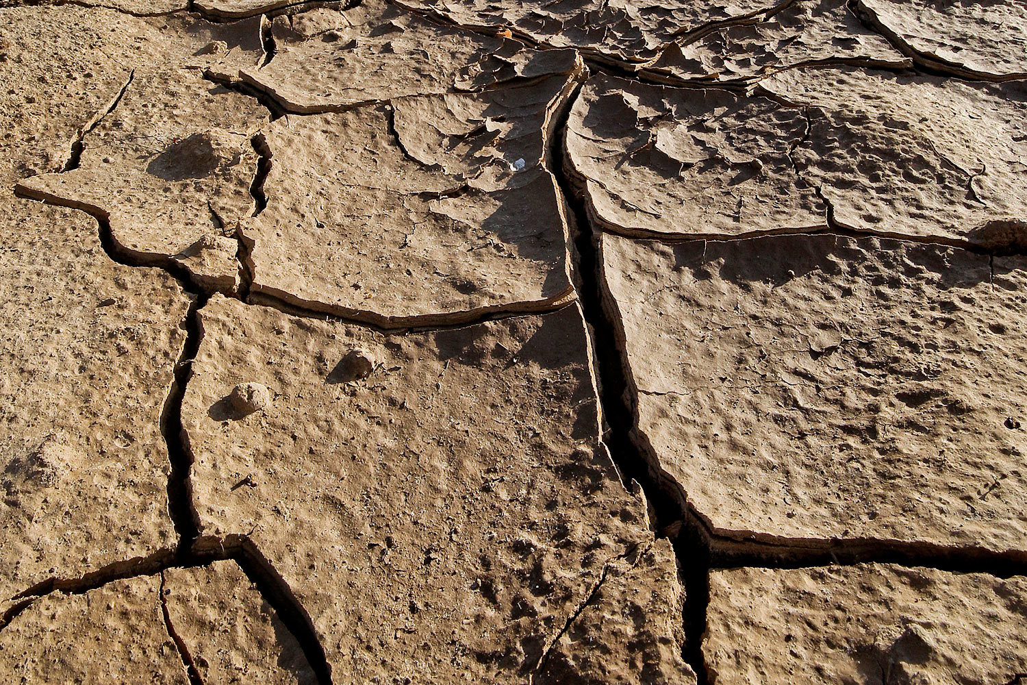 Впервые за 10 лет экология признана главной угрозой для мировой стабильности