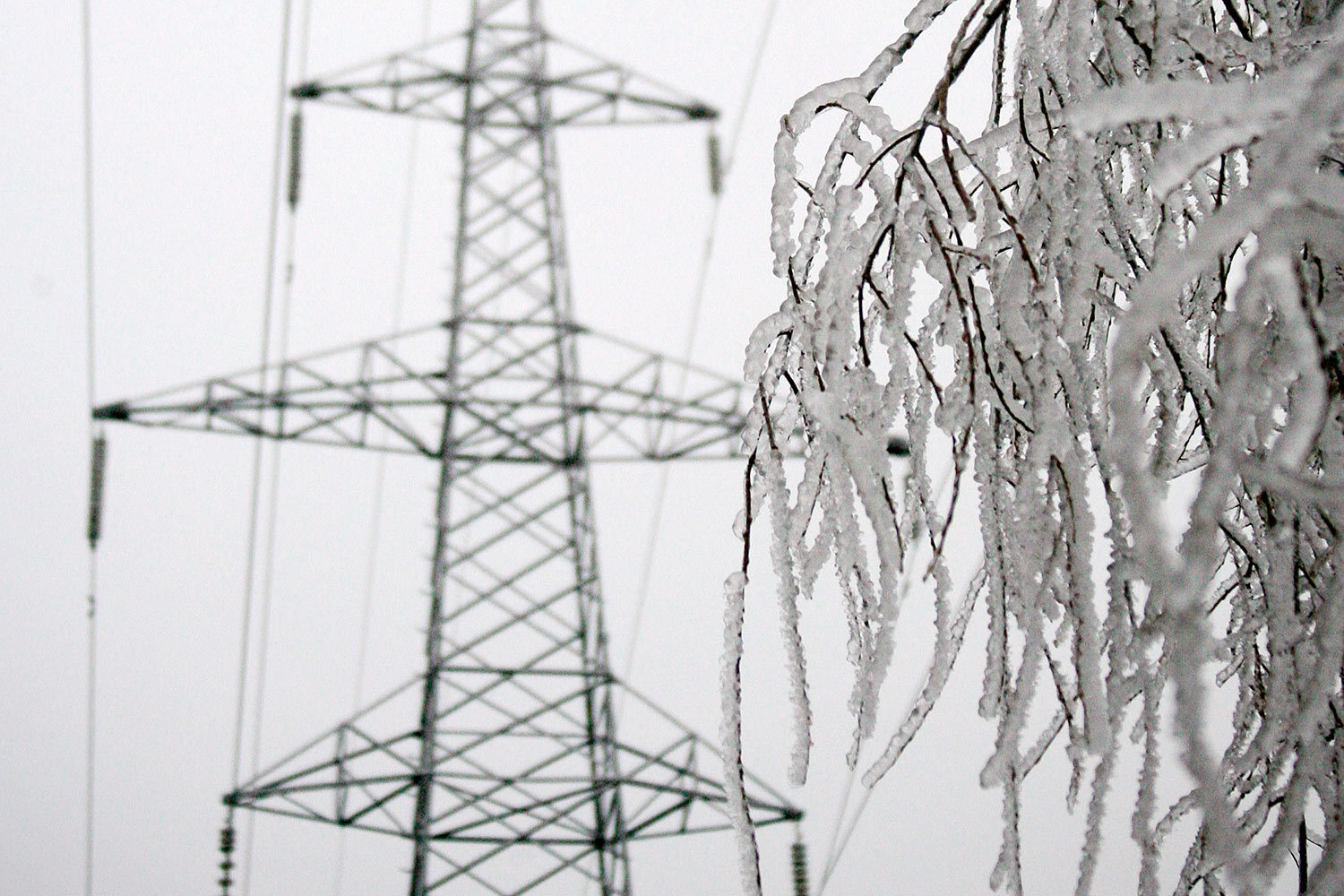 Операторы выберут нужные почти  из 1 млн опор