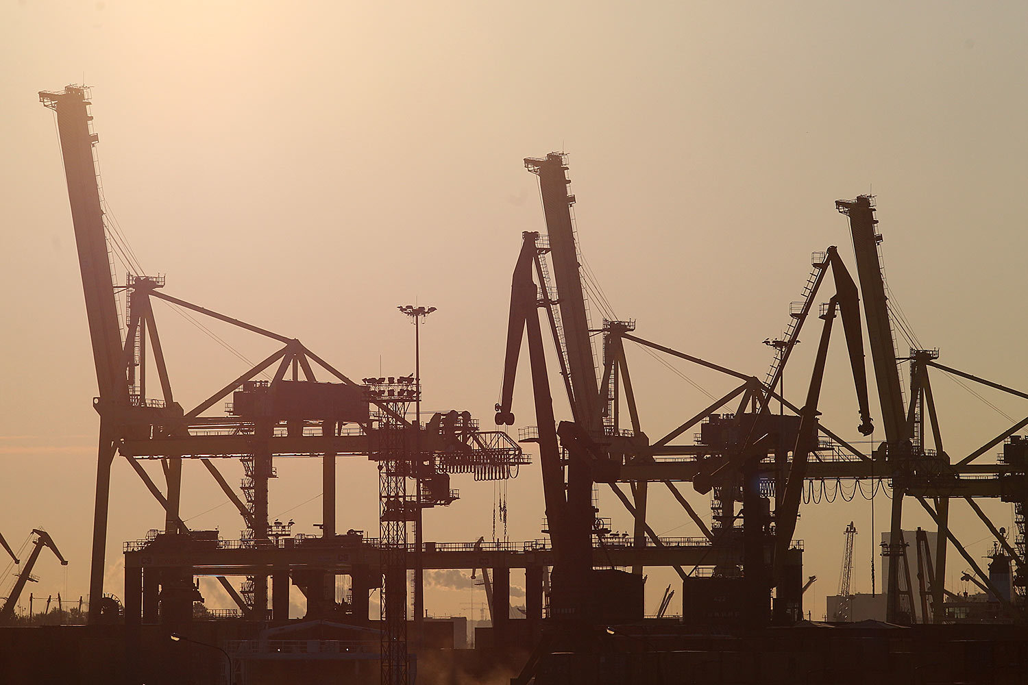 Контейнерооборот порта Санкт-Петербург упал на 28%