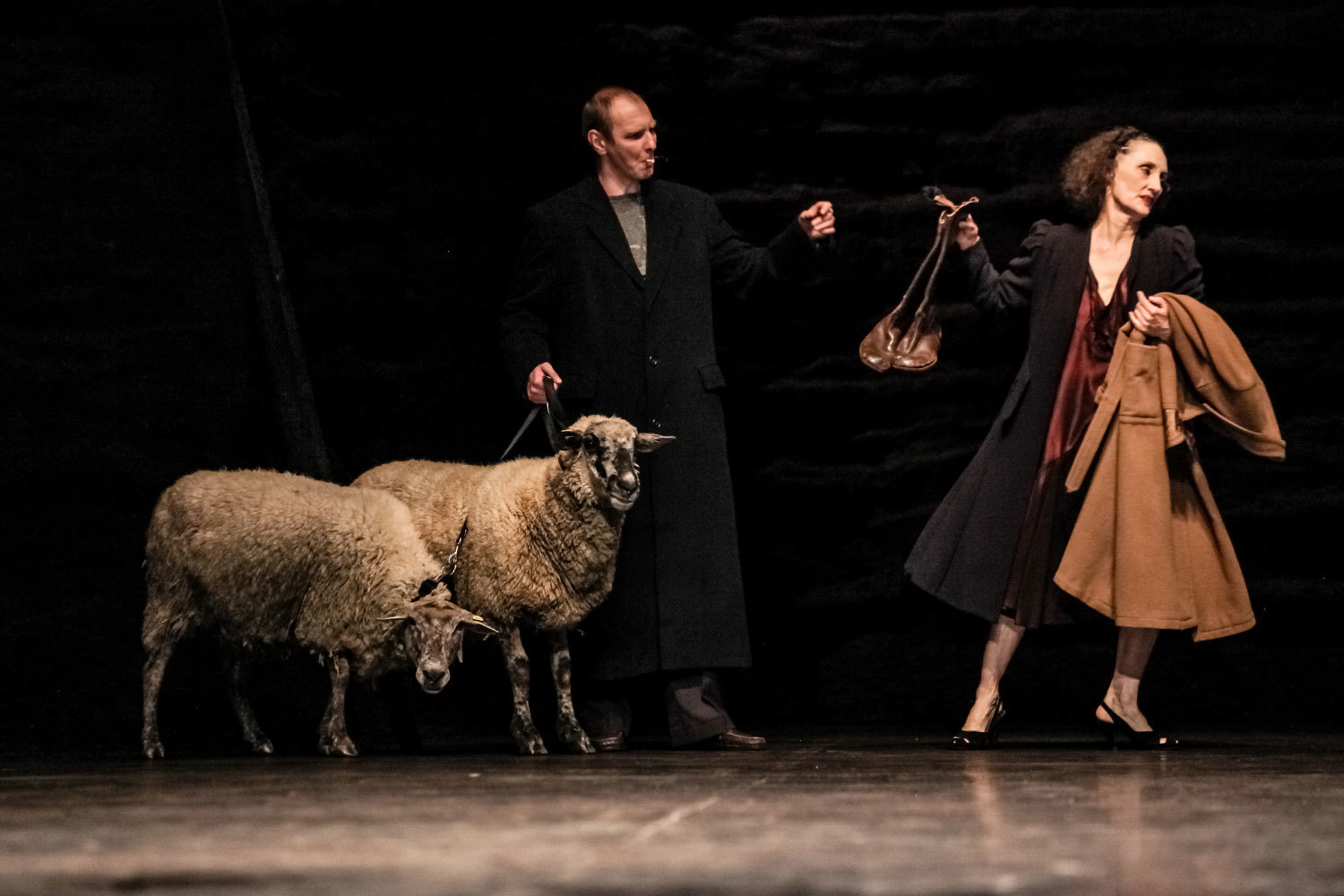 Андрей Березин и Назарет Панадеро ведут баранов на танец