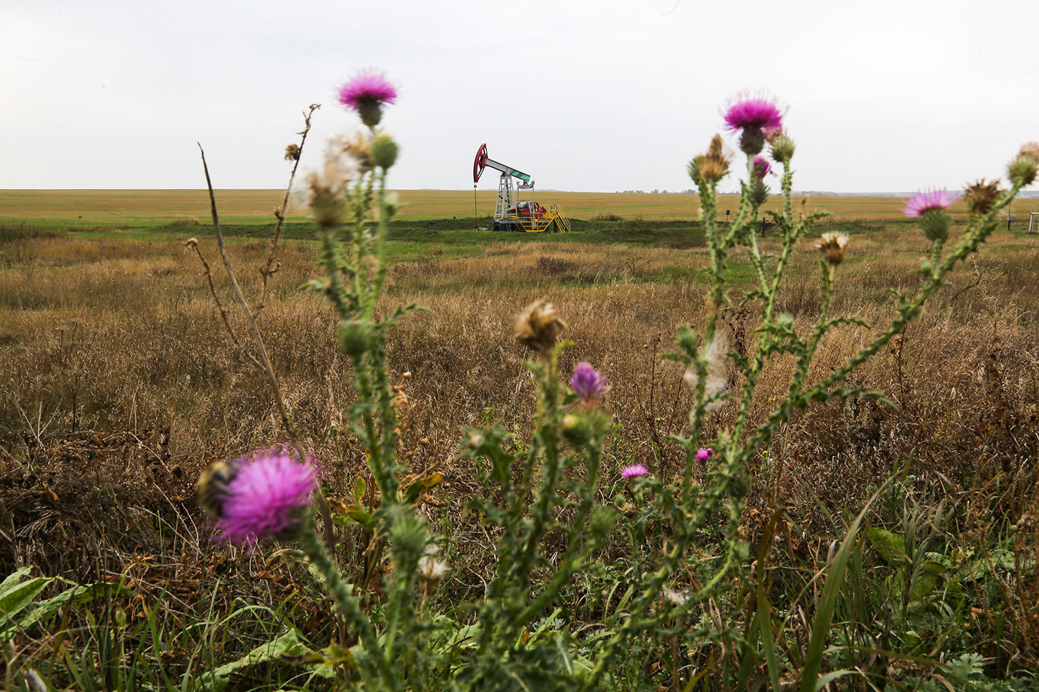 Минприроды предложило недропользователям новые правила изменения границ их месторождений за счет присоединения новых