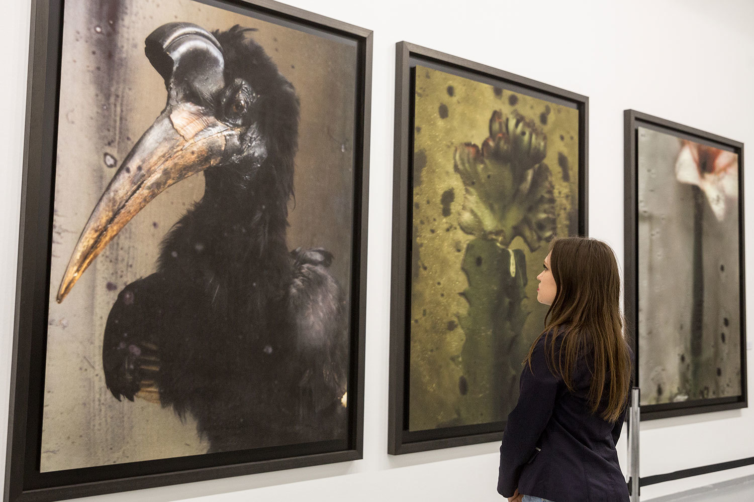 Евгений Разумный / Ведомости