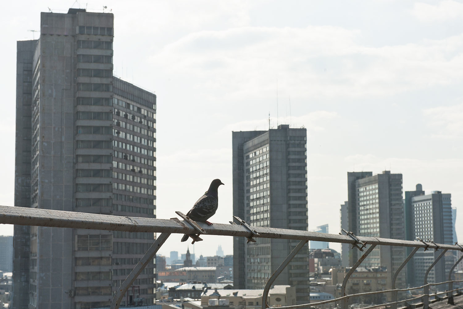 Если «Апарт груп» и Pentahotels договорятся, то комплекс на Новом Арбате станет первым отелем немецкой сети в России