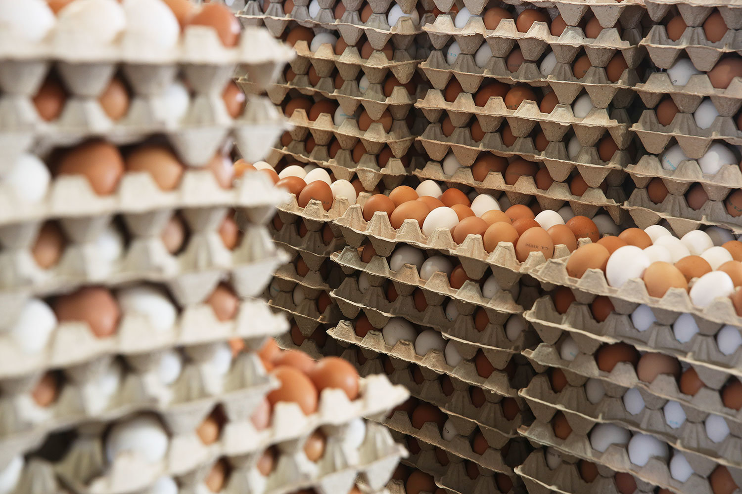 Завод поставлял комбикорм крупнейшей в Росси птицефабрике