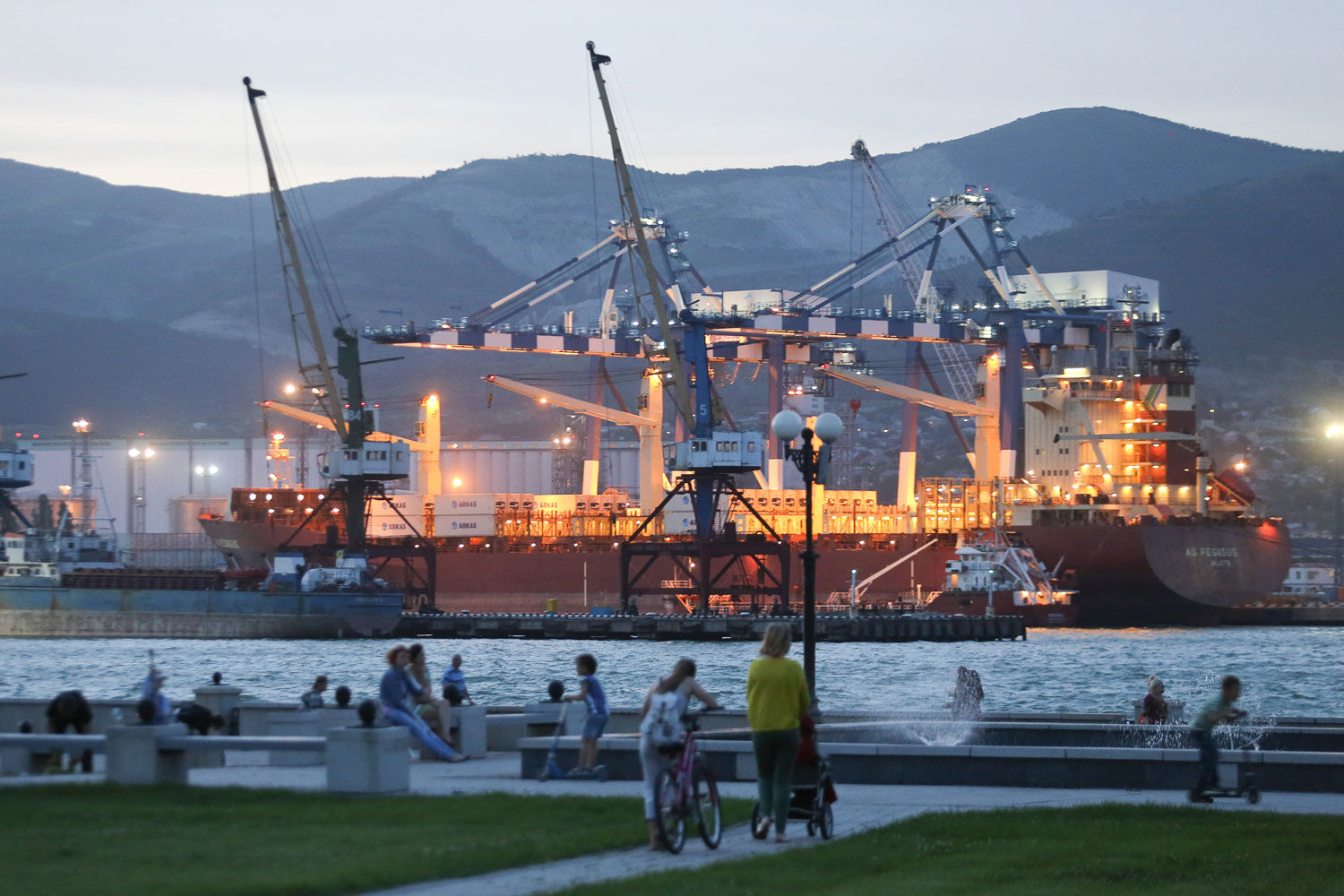 В частности, суд признал недействительным решение ведомства о взыскании с НМТП в бюджет 9,74 млрд руб.