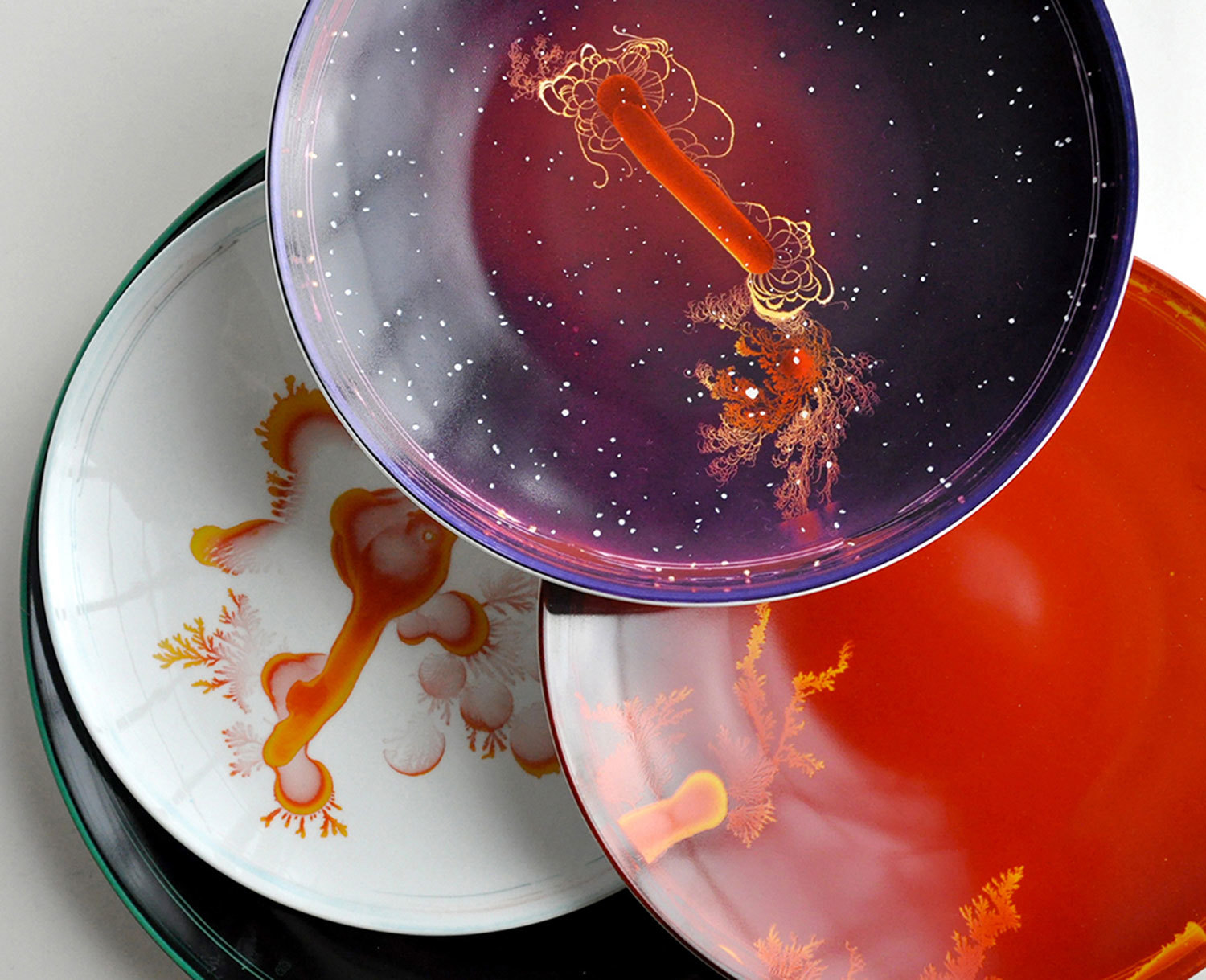 Bernardaud сотрудничает с художниками с 1950-х гг., с того момента, как компанию возглавил Жак Бернардо. Сейчас в портфолио Bernardaud работа с 37 художниками, среди которых Марина Абрамович, Софи Калле, Майкл Лин, Дэвид Линч. На фото: сет из шести тарелок, созданных по дизайну Вика Муниза