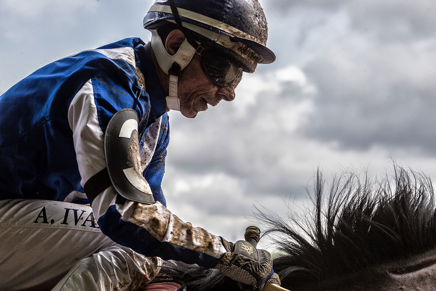 Скачки на приз президента на Московском ипподроме