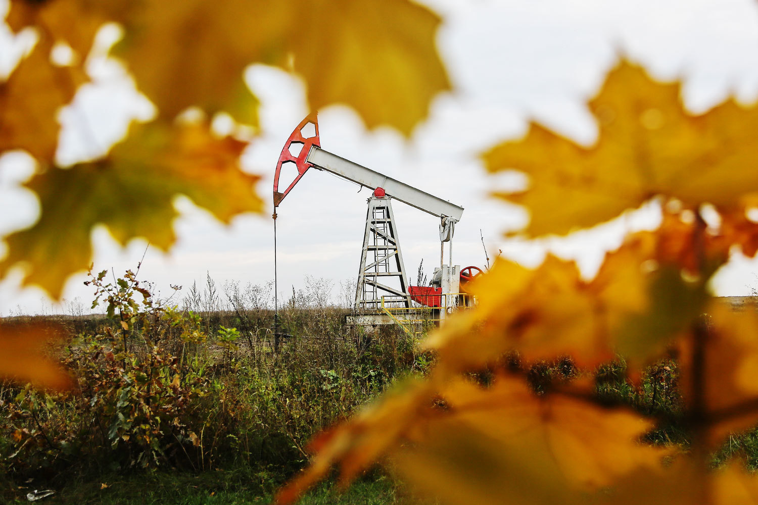 Добыча растет все быстрее с июля, после смягчения ограничений ОПЕК+