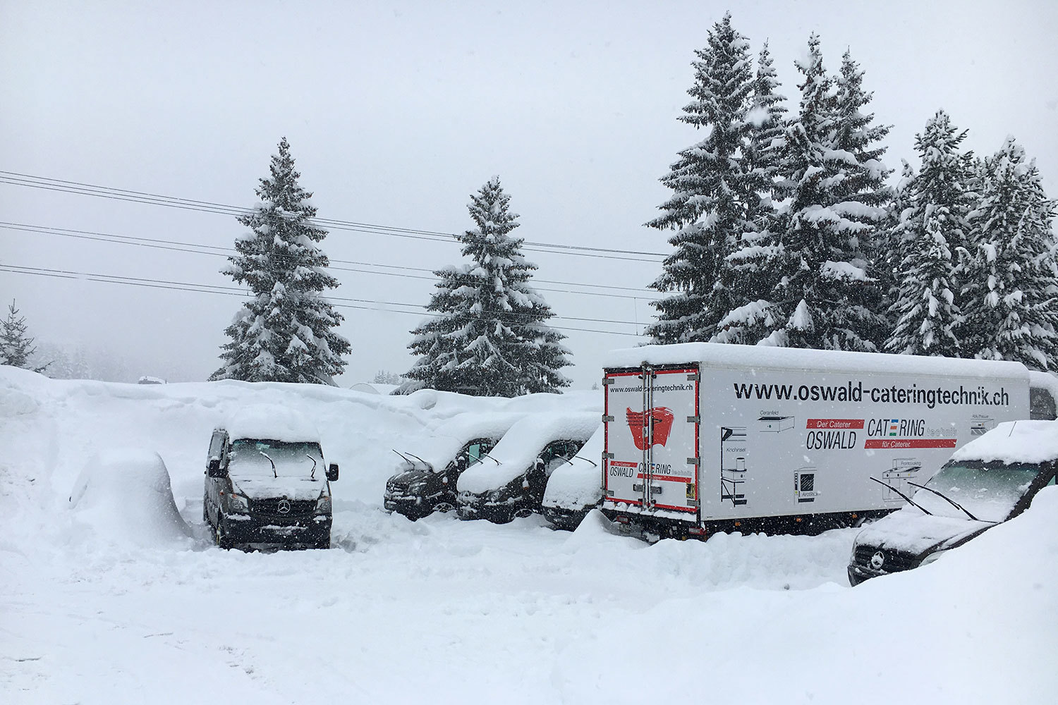 Екатерина Дербилова / Ведомости