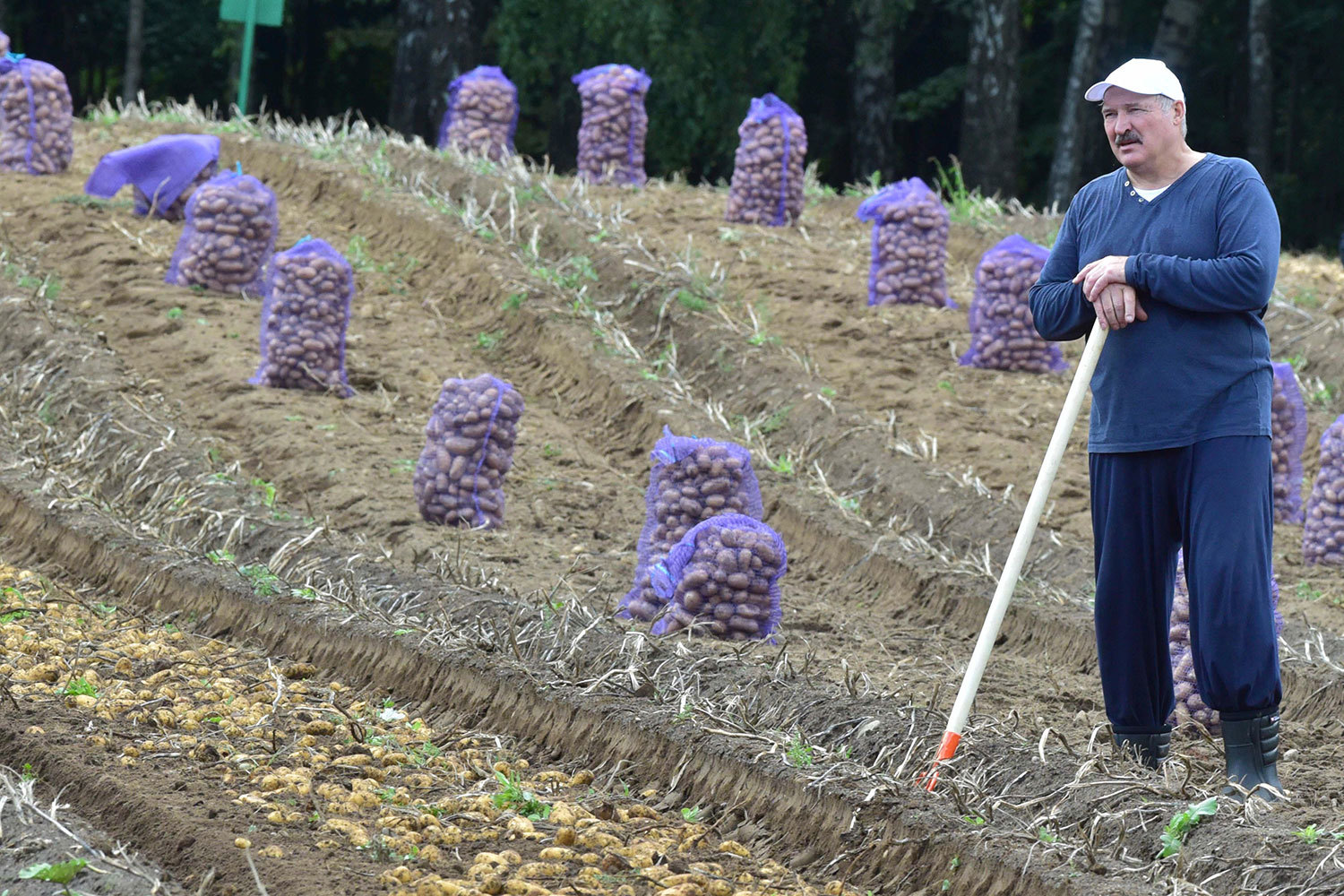 Россельхознадзор не уверен в законности поставок овощей и фруктов через Белоруссию