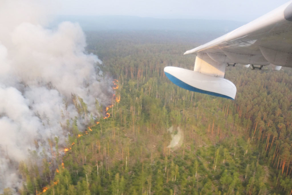 Борьба с лесными пожарами идет на территории 78 226 га в Иркутской области, 21 963 га в Красноярском крае и 1403 га в Якутии