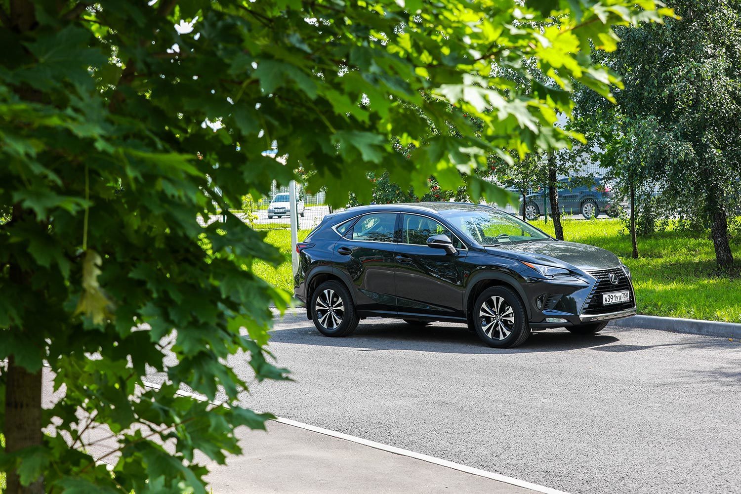 Максим Стулов / Ведомости