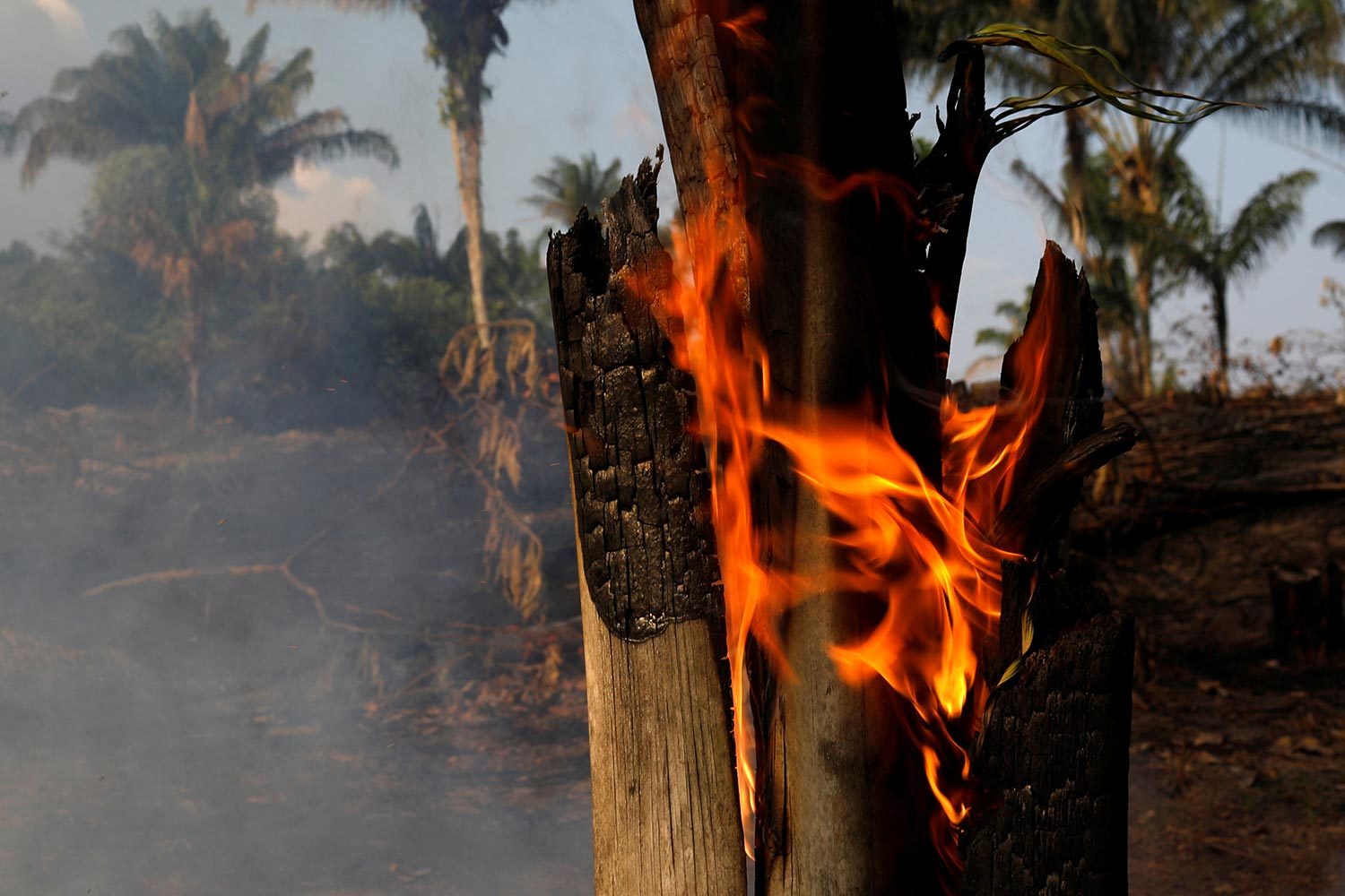 Bruno Kelly / Reuters