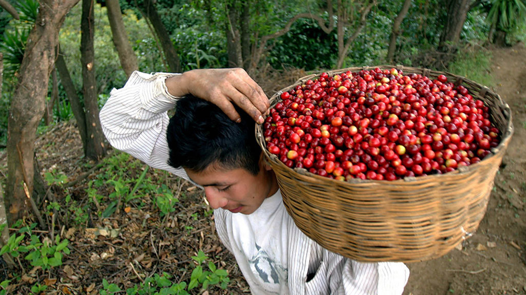 Moises Castillo / AP Photo