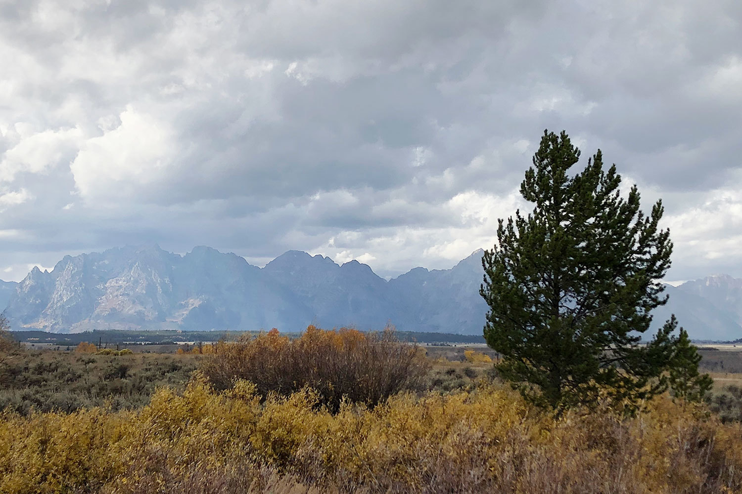 Национальный парк Гранд-Титон в долине Джексон-Хоул