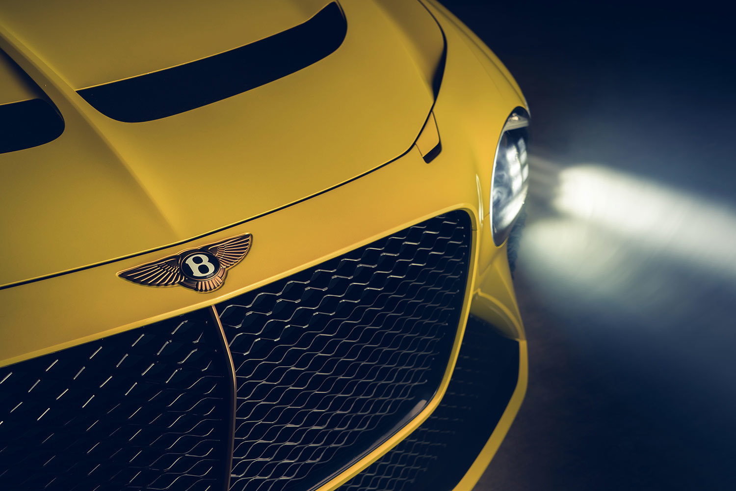 Bentley следует по стопам коллег из Volkswagen Group, люксовых брендов Bugatti и Lamborghini, и будет выпускать модели крошечными партиями с высокой степенью индивидуализации. В прошлом году на автосалоне во Франкфурте Lamborghini представила гибридный суперкар Sian FKP 37 (выпустят ограниченной серией 63 автомобиля), Bugatti показала модель Centodieci (выпустят восемь автомобилей) во время автомобильного фестиваля в Монтерее, отмечает Automotive News