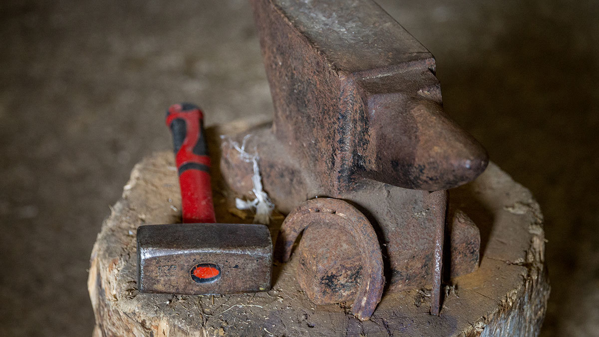 Евгений Разумный / Ведомости